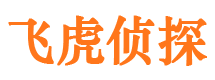 硚口市侦探调查公司